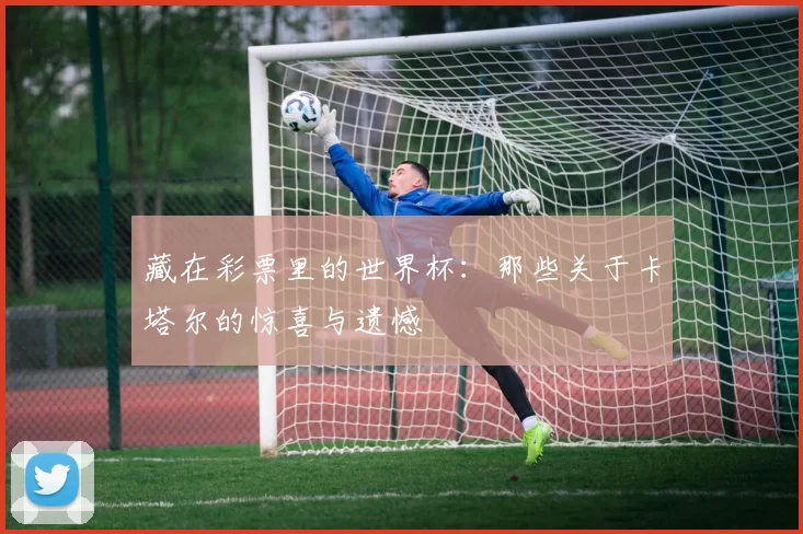 藏在彩票里的世界杯：那些关于卡塔尔的惊喜与遗憾